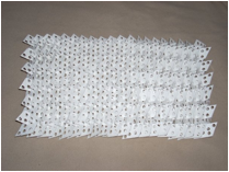 Description: Macintosh HD:Users:ming-chiehma:trips:2011EXCHANGE TO CALPOLY:交換學生經驗分享:專題報告使用照片:102.jpg